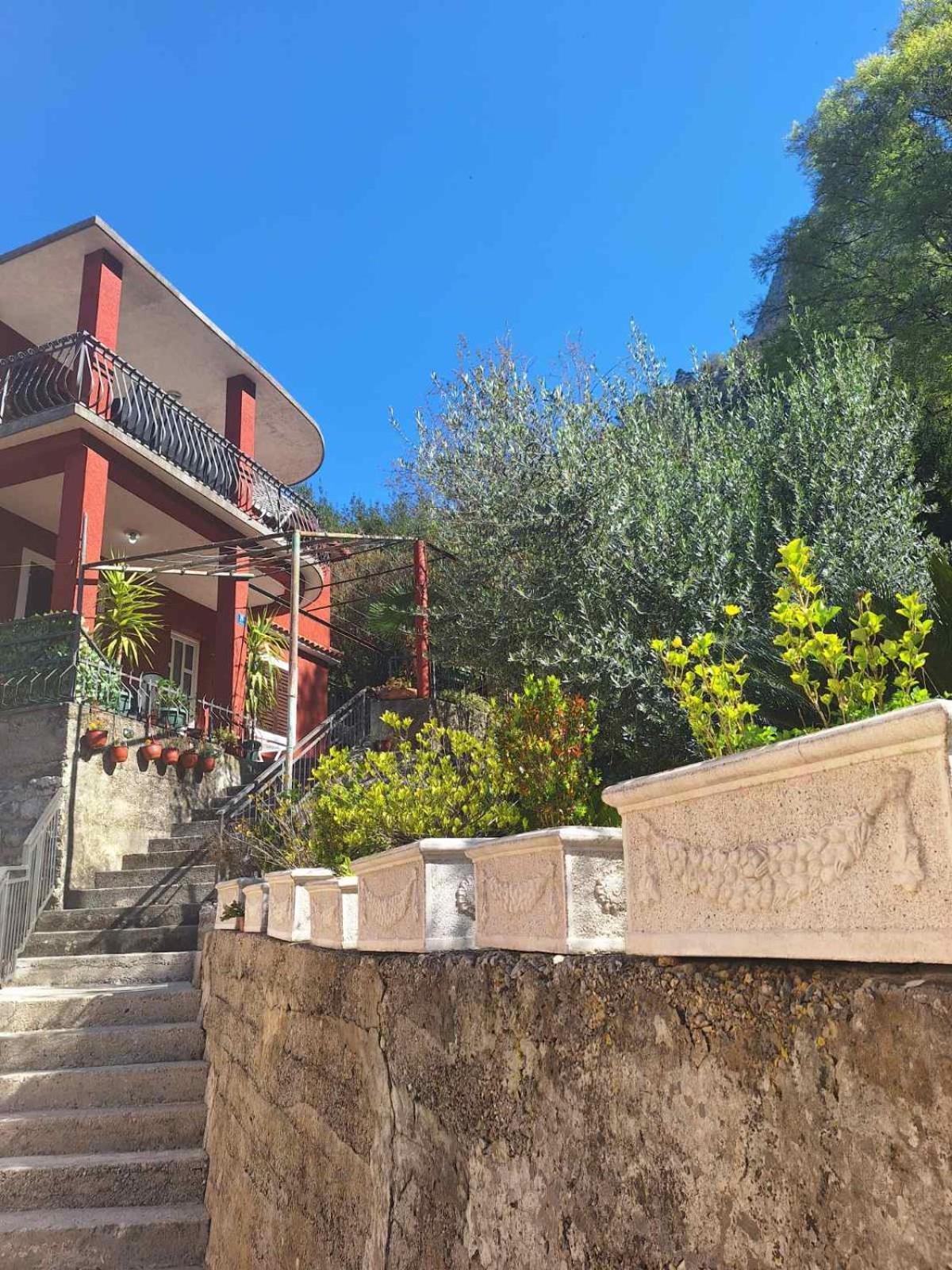 Red House * Kotor