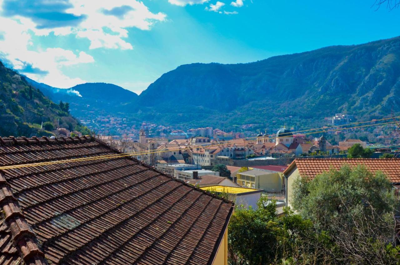 Red House Kotor